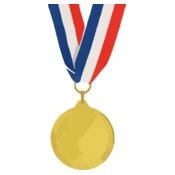 medal 295094