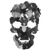 skull 311921